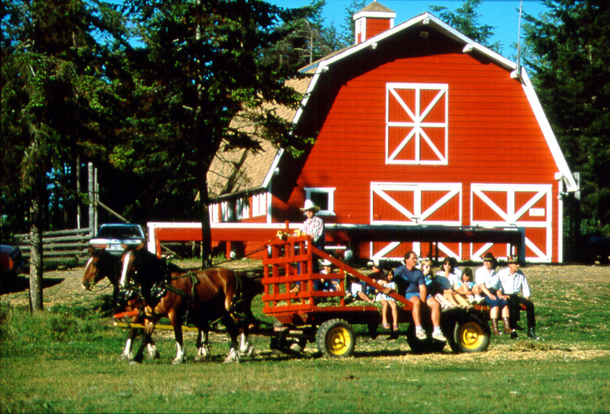 Spruce Hill Resort & Spa 108 Mile Ranch Exteriör bild
